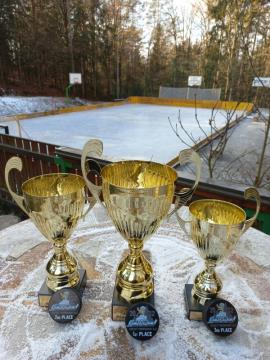 Hokejski turnir Podgorje 15